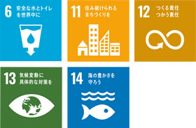 SDGs icon